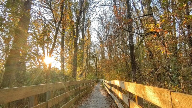 Rail Trail - Jefferson, OR