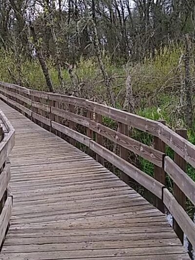Rail Trail - Jefferson, OR