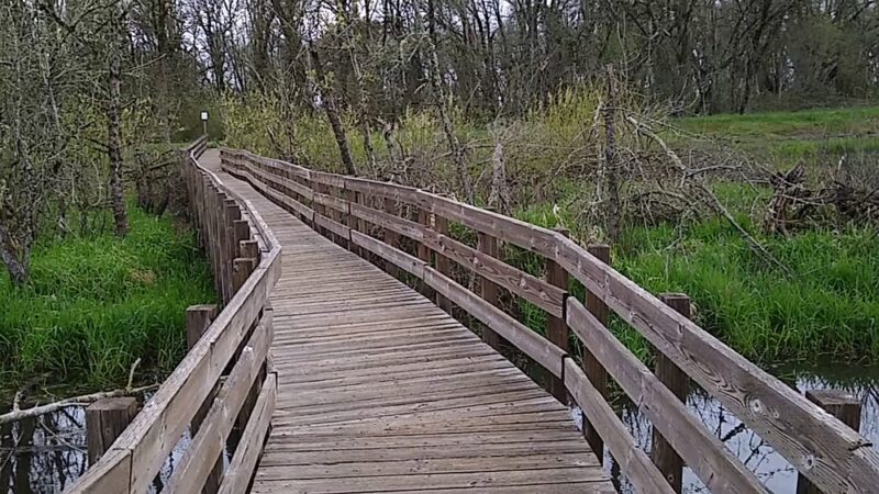 Rail Trail - Jefferson, OR