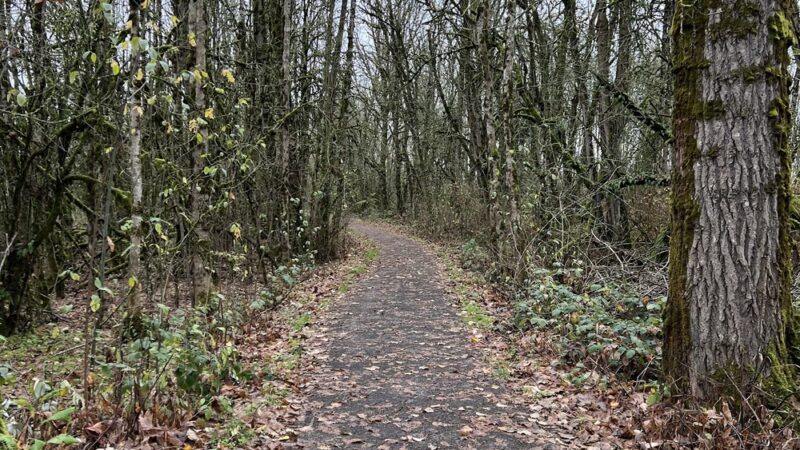 Rail Trail - Jefferson, OR