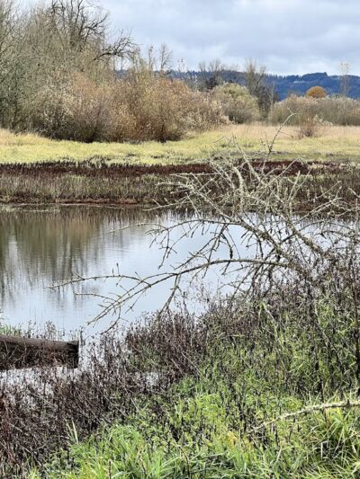Rail Trail - Jefferson, OR