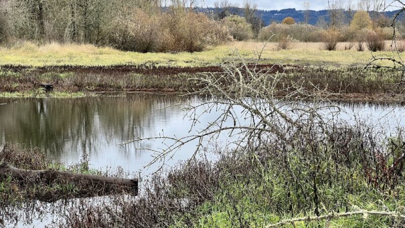 Rail Trail - Jefferson, OR