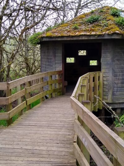 Rail Trail - Jefferson, OR