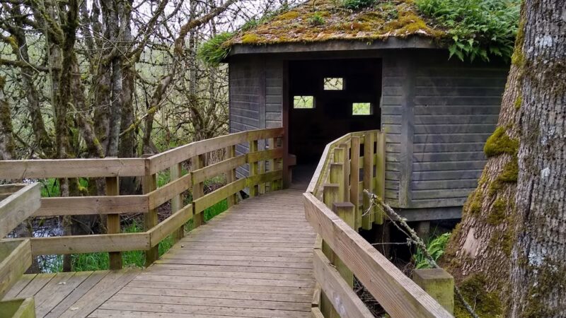 Rail Trail - Jefferson, OR