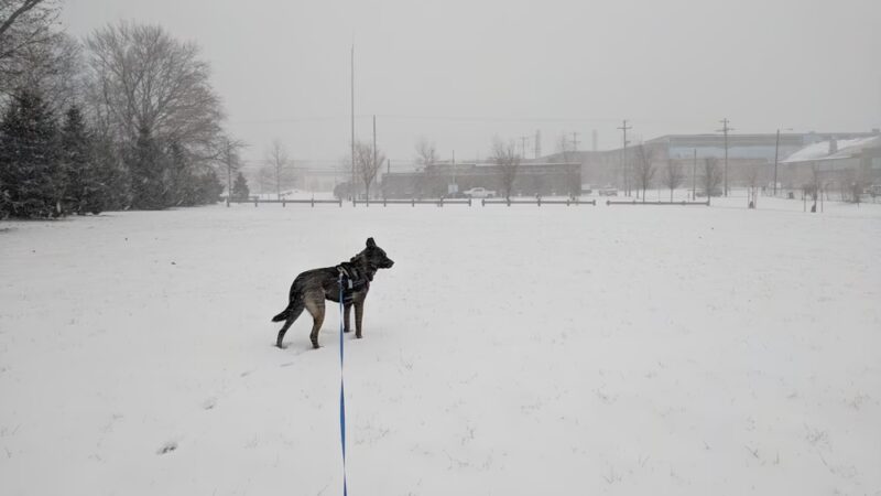 Hallowell Park - Jenkintown, PA