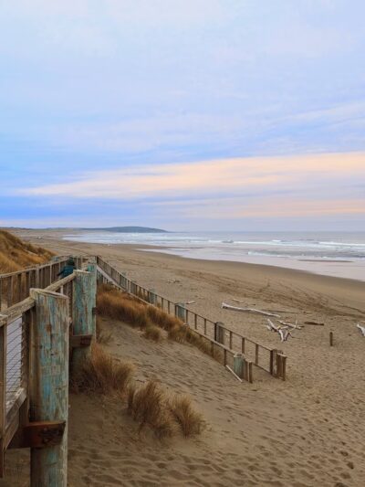 Bodega Dunes Beach - Jenner, CA