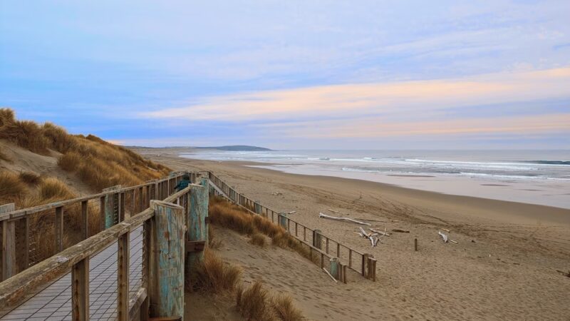 Bodega Dunes Beach - Jenner, CA