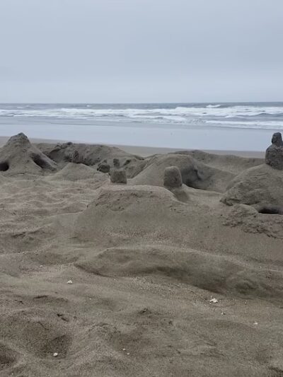 Bodega Dunes Beach - Jenner, CA