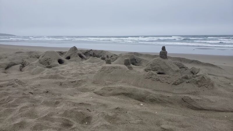 Bodega Dunes Beach - Jenner, CA