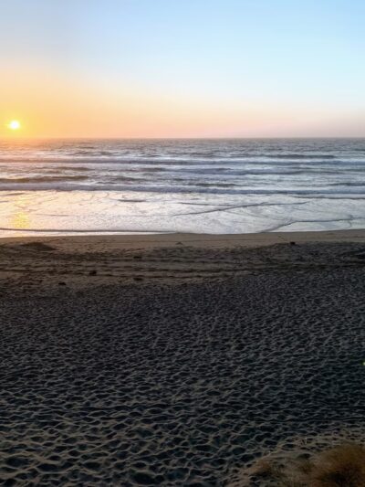 Bodega Dunes Beach - Jenner, CA