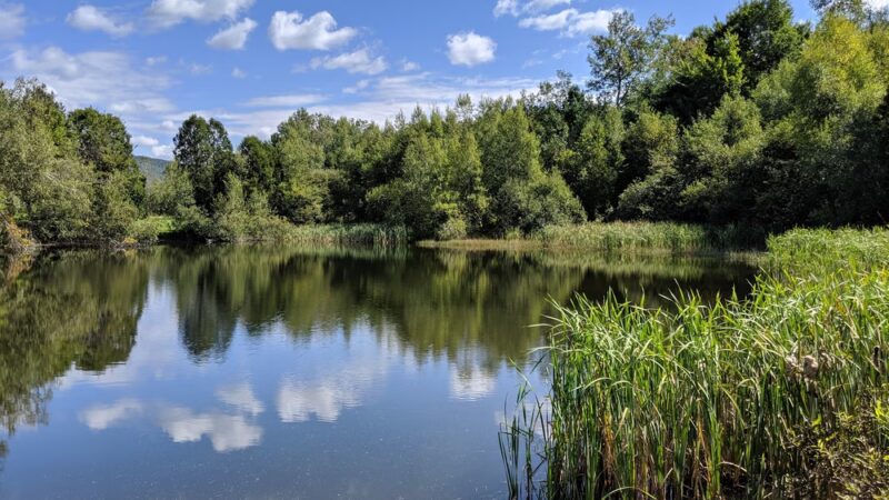 Mills Riverside Park - Jericho, VT