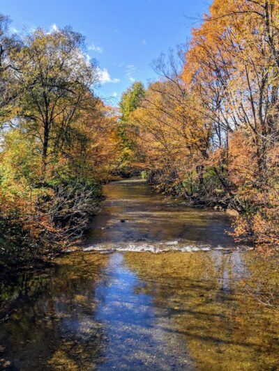 Mills Riverside Park - Jericho, VT