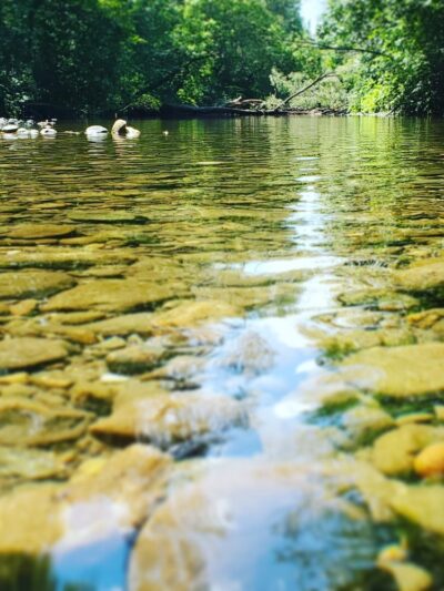 Mills Riverside Park - Jericho, VT