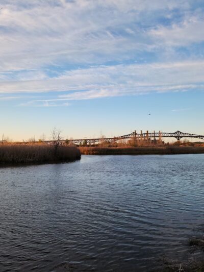 Lincoln Park West Wetlands & Nature Trail - Jersey City, NJ
