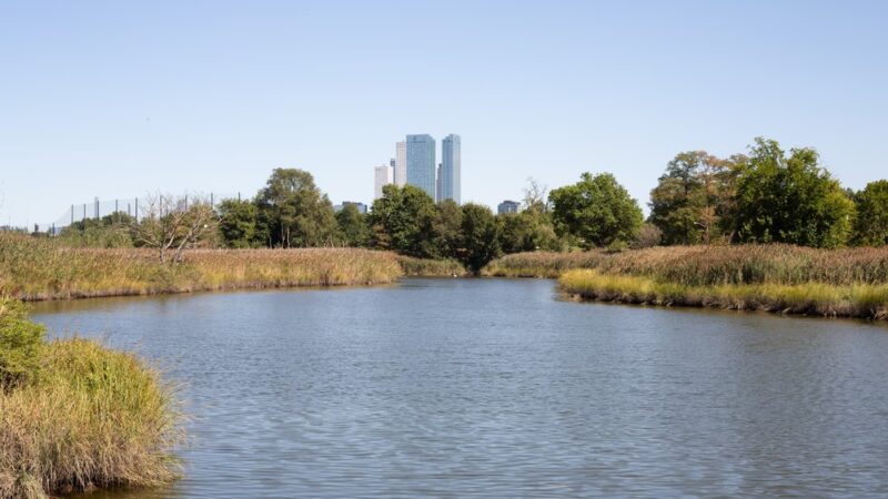 Lincoln Park West Wetlands & Nature Trail - Jersey City, NJ
