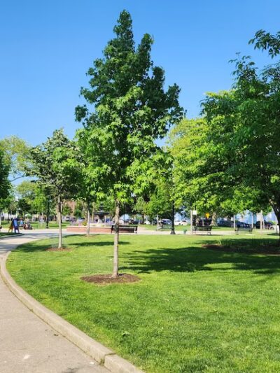 Riverview-Fisk Park - Jersey City, NJ