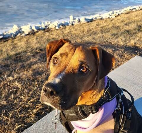 Wock Family Lake & Walking Trail - Jerseyville, IL