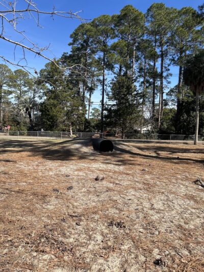 Jesup Dog Park -Large Dogs - Jesup, GA