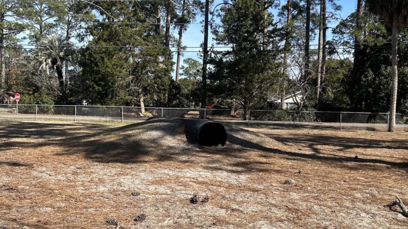 Jesup Dog Park -Large Dogs - Jesup, GA