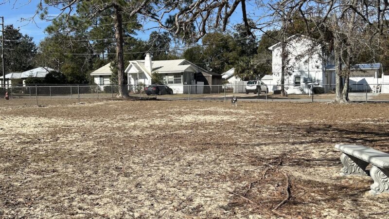 Jesup Dog Park -Large Dogs - Jesup, GA