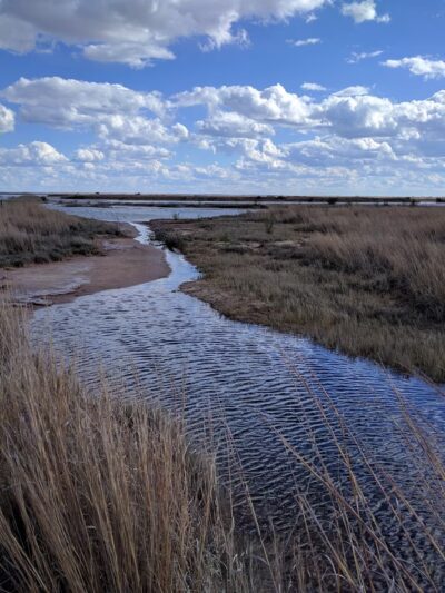 Salt Plains National Wildlife Refuge - Jet, OK