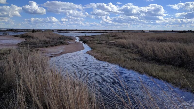 Salt Plains National Wildlife Refuge - Jet, OK