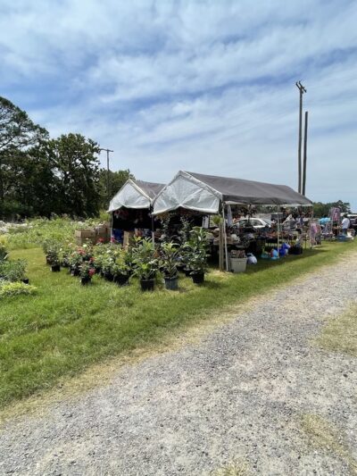 Jewett Flea Market - Jewett, TX
