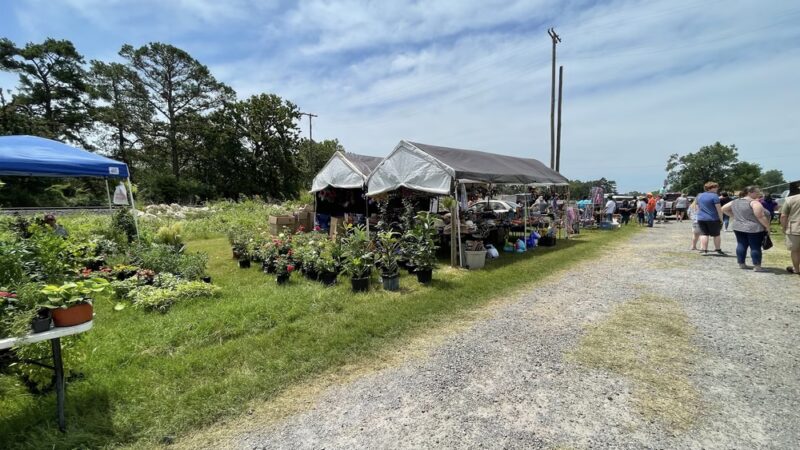 Jewett Flea Market - Jewett, TX