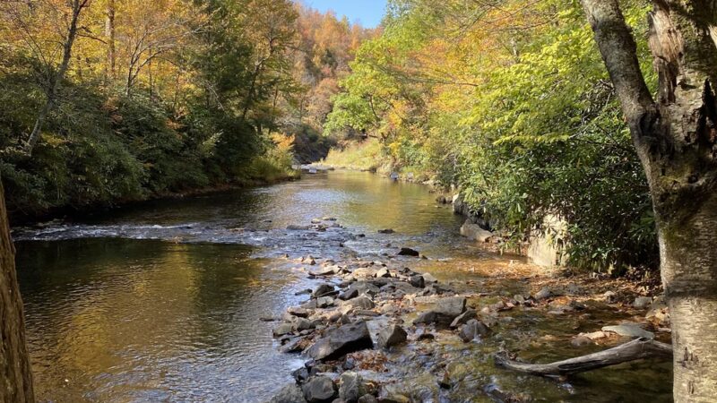 Hawk Falls - Jim Thorpe, PA