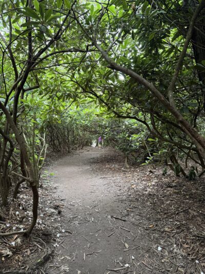 Hawk Falls - Jim Thorpe, PA