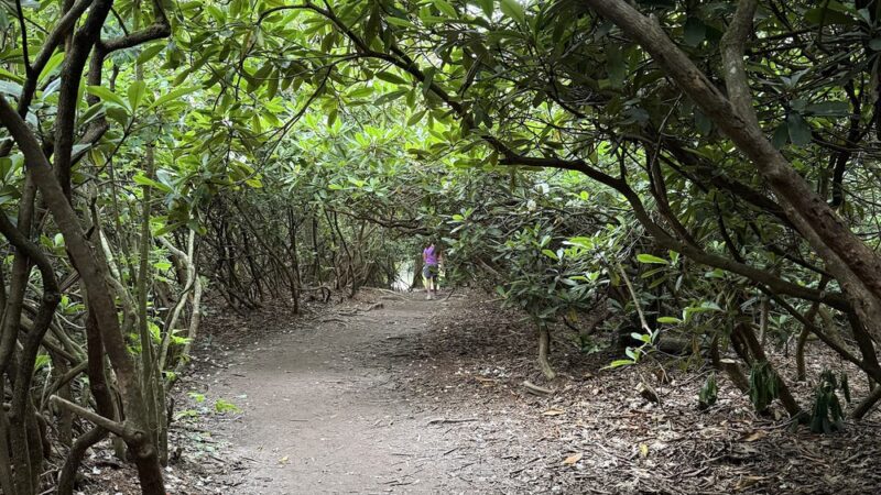Hawk Falls - Jim Thorpe, PA