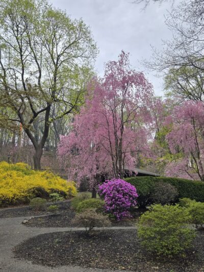 Kemmerer Park - Jim Thorpe, PA