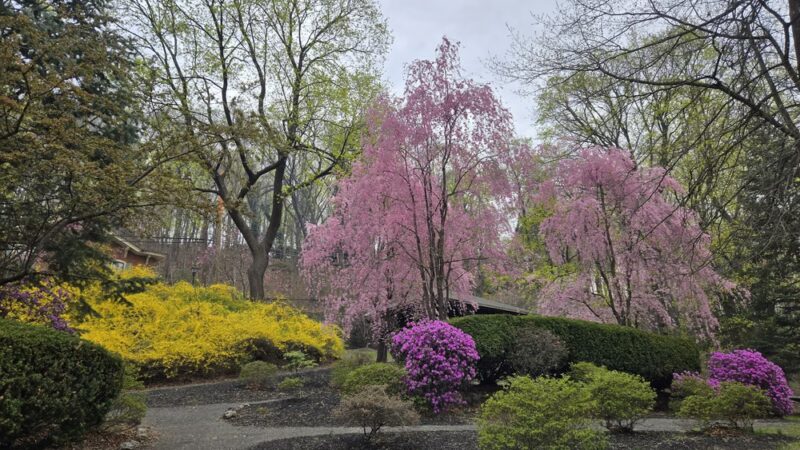 Kemmerer Park - Jim Thorpe, PA