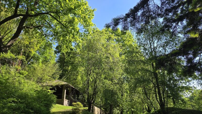 Kemmerer Park - Jim Thorpe, PA