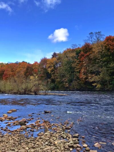 Lehigh Gorge State Park - Jim Thorpe, PA
