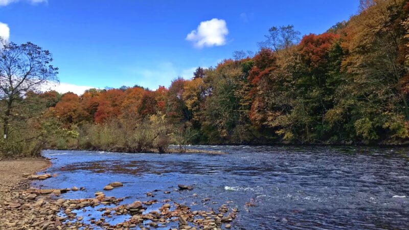 Lehigh Gorge State Park - Jim Thorpe, PA