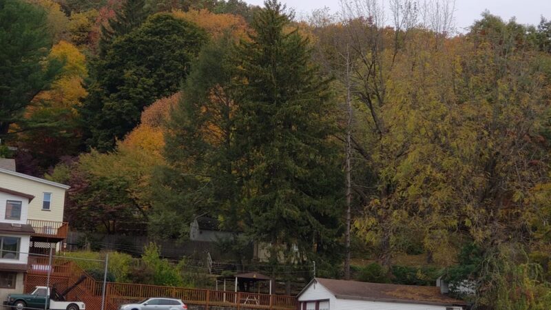 Sam Miller Field - Jim Thorpe, PA