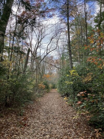 Switchback Railroad Trail Parking Lot - Jim Thorpe, PA