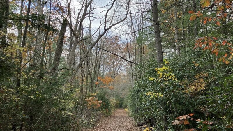 Switchback Railroad Trail Parking Lot - Jim Thorpe, PA