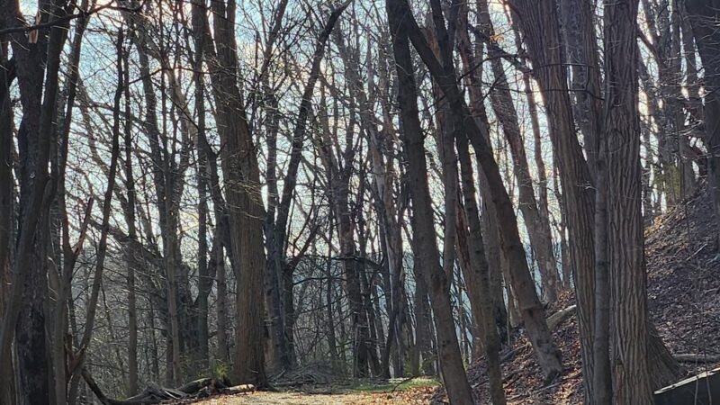 Switchback Railroad Trail Parking Lot - Jim Thorpe, PA