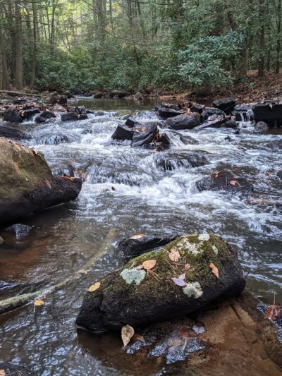 Switchback Railroad Trail - Trailhead (Flagstaff Road) - Jim Thorpe, PA