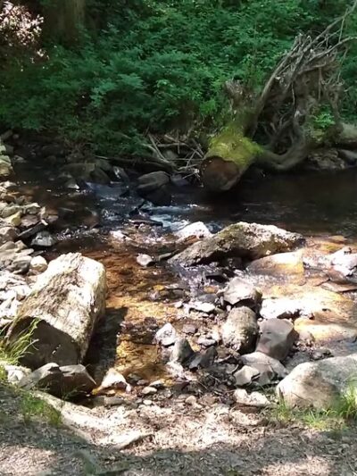Switchback Railroad Trail - Trailhead (Flagstaff Road) - Jim Thorpe, PA