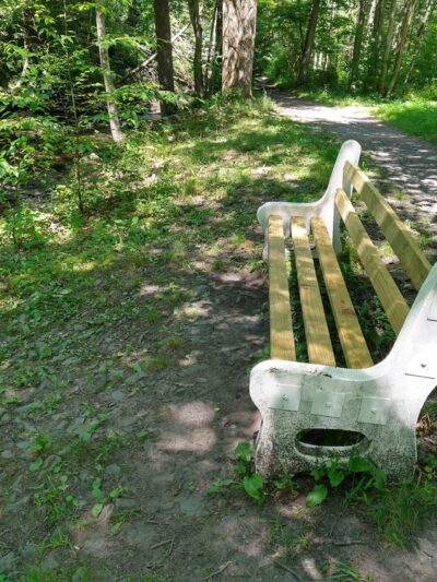 Switchback Railroad Trail - Trailhead (Flagstaff Road) - Jim Thorpe, PA