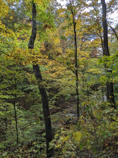 Beaman Park Creekside Trail Head - Joelton, TN