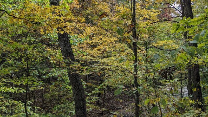 Beaman Park Creekside Trail Head - Joelton, TN