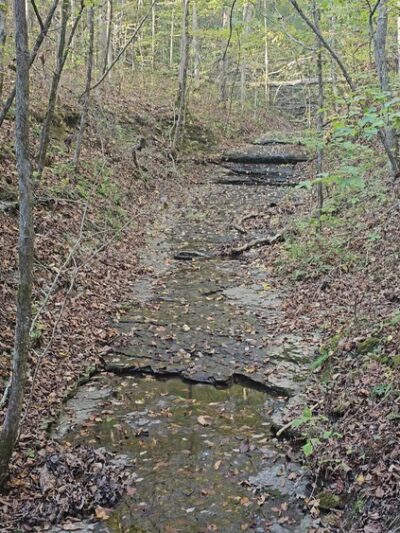 Beaman Park Creekside Trail Head - Joelton, TN