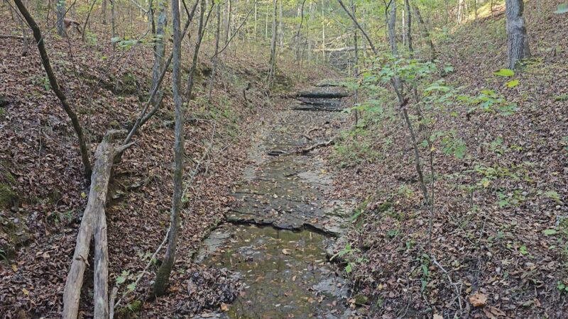 Beaman Park Creekside Trail Head - Joelton, TN