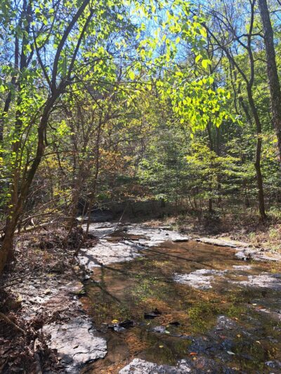 Beaman Park Creekside Trail Head - Joelton, TN