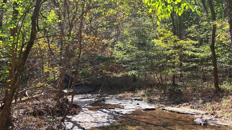 Beaman Park Creekside Trail Head - Joelton, TN