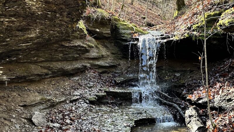 Beaman Park Creekside Trail Head - Joelton, TN